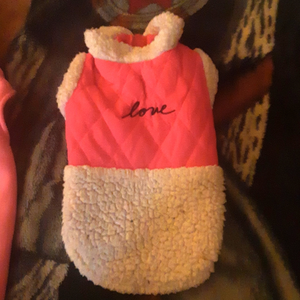 Doggie Jacket